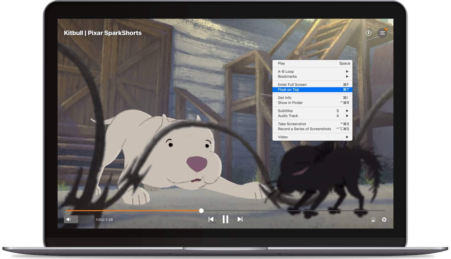 video player for mac os 10.6